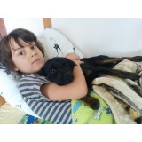 Собака - 12.jpg Собака - 12.jpg